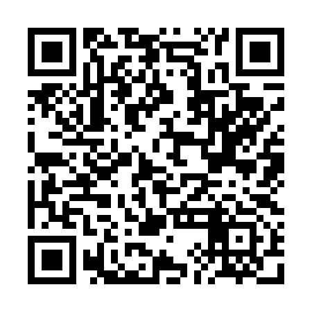 QR code for BIK493