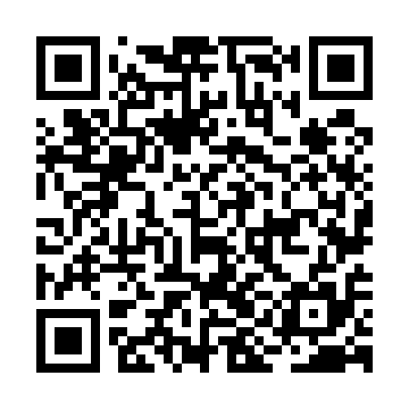 QR code for BIN515