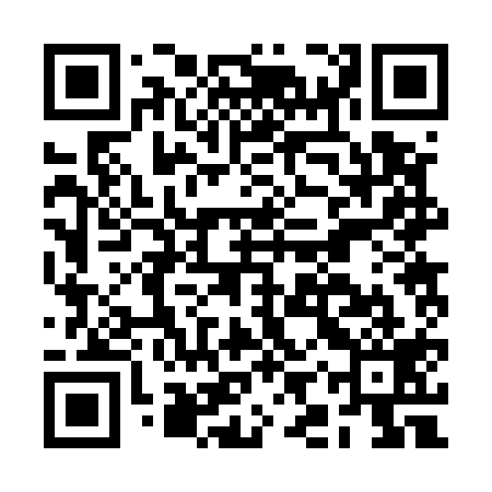 QR code for BIR519