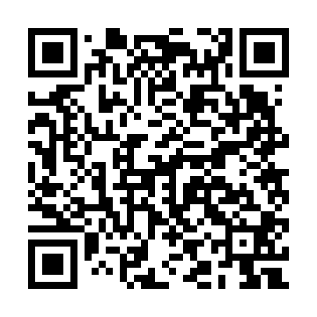 QR code for BIR600