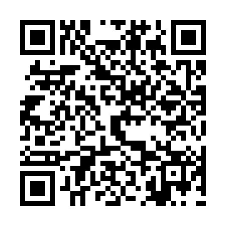 QR code for BJI383