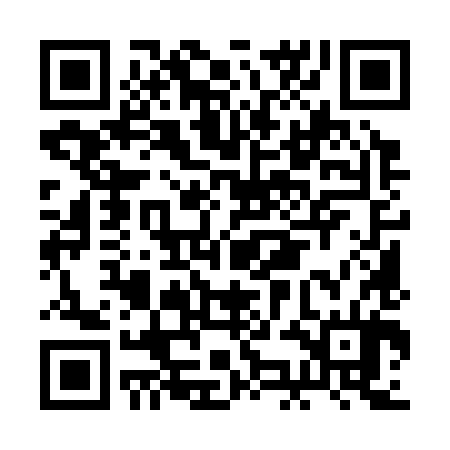 QR code for BKM384