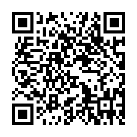 QR code for BLN993