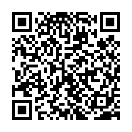 QR code for BMI411