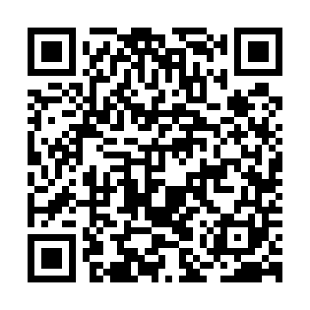 QR code for BMV541