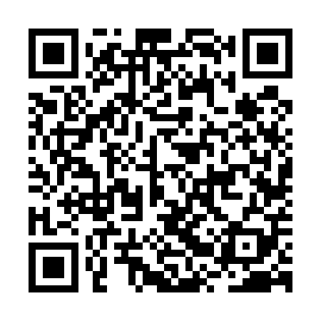 QR code for BRV509