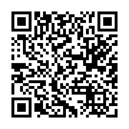QR code for BSE919
