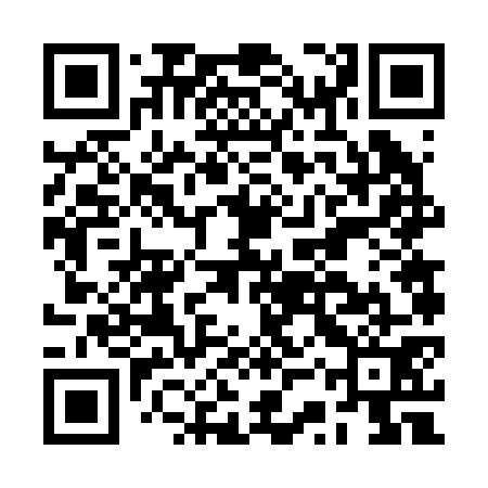 QR code for BSV271