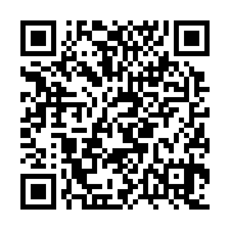QR code for BTF335