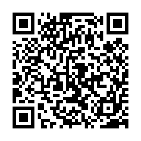 QR code for BUS417