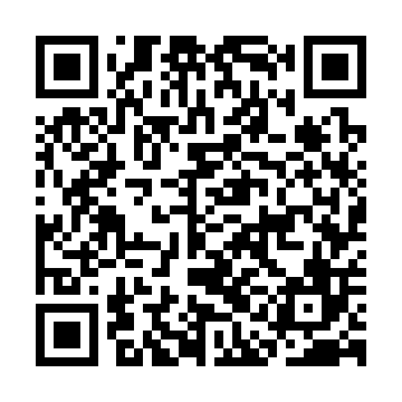 QR code for CAG306