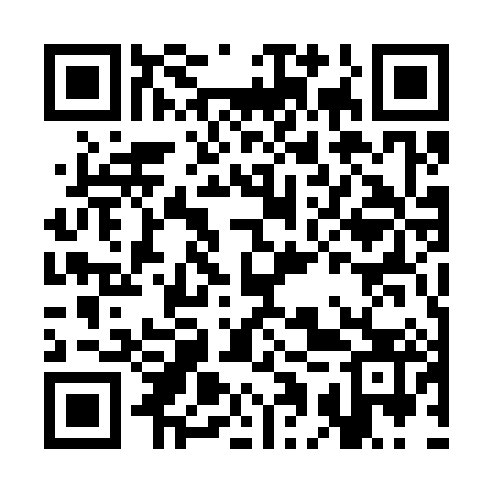 QR code for CAU383