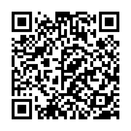 QR code for CDT038