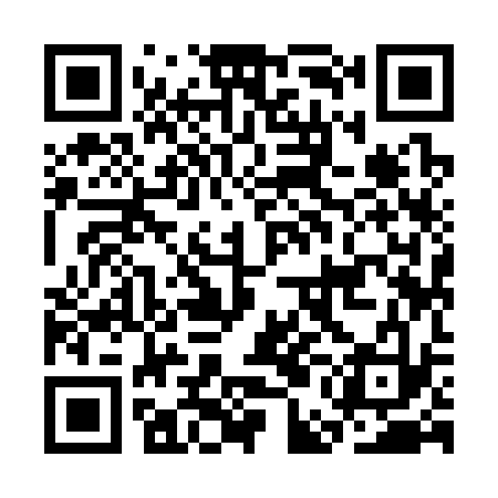 QR code for CEI333
