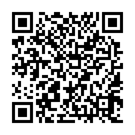 QR code for CEO318