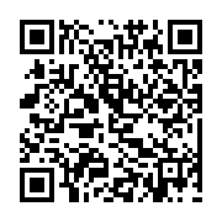 QR code for CER385