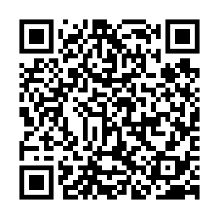 QR code for CFS638