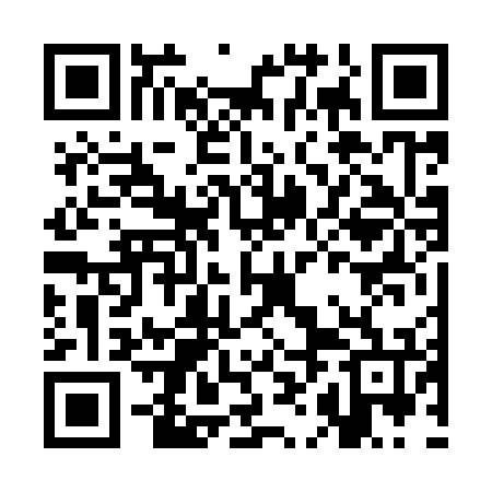 QR code for CHF976