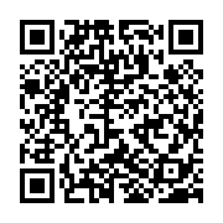 QR code for CHI038