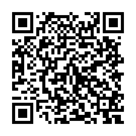 QR code for CHM500