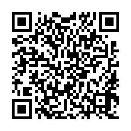 QR code for CHO698