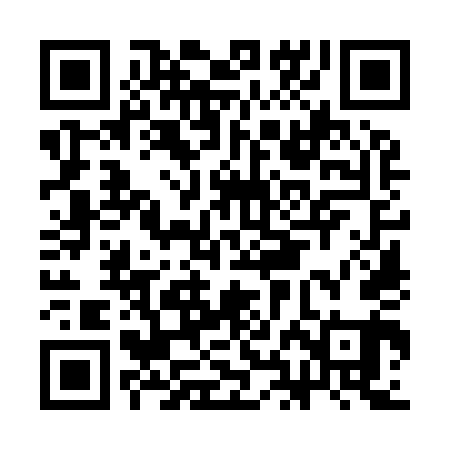 QR code for CHO941