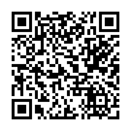QR code for CHP995