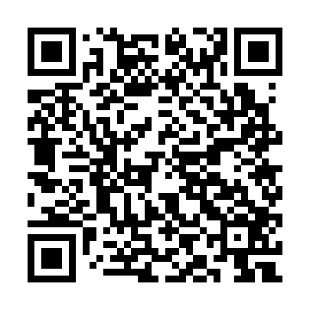 QR code for CIG306