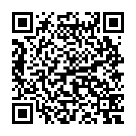 QR code for CKQ379