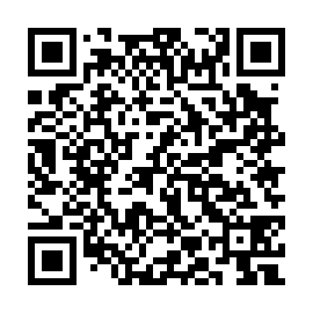 QR code for CMU038