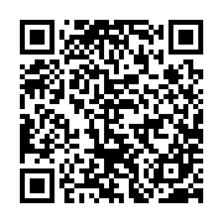 QR code for COT387