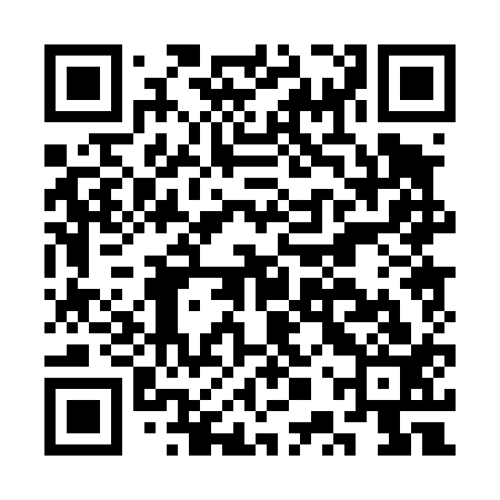 QR code for CPP413