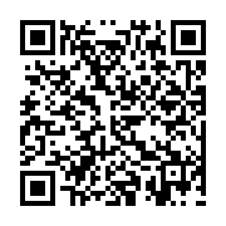 QR code for CQS381