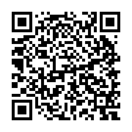 QR code for CQU294