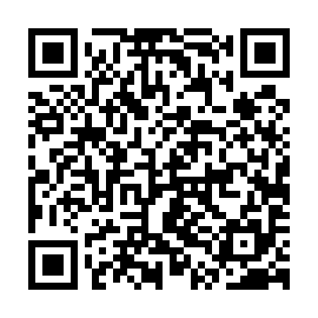 QR code for CTD595