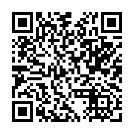 QR code for CTH493