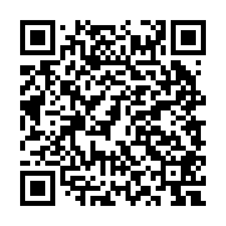 QR code for CYT208
