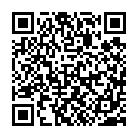 QR code for CYX617