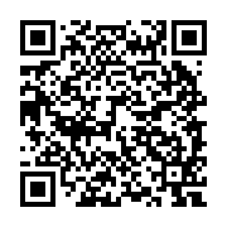 QR code for CZT295