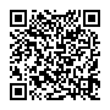 QR code for CZY919