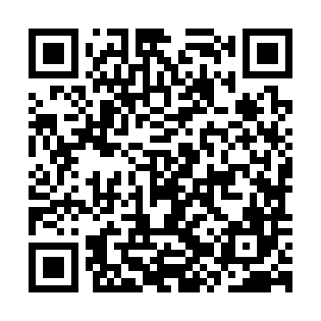 QR code for CZZ386