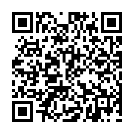QR code for DBE381