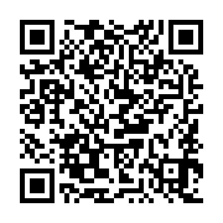 QR code for DBL991