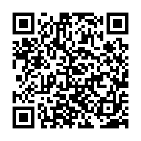 QR code for DCL313