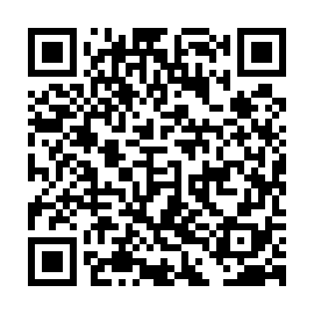 QR code for DDI578