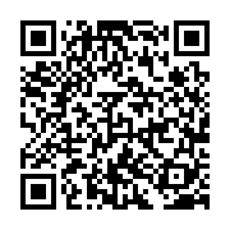 QR code for DDL369
