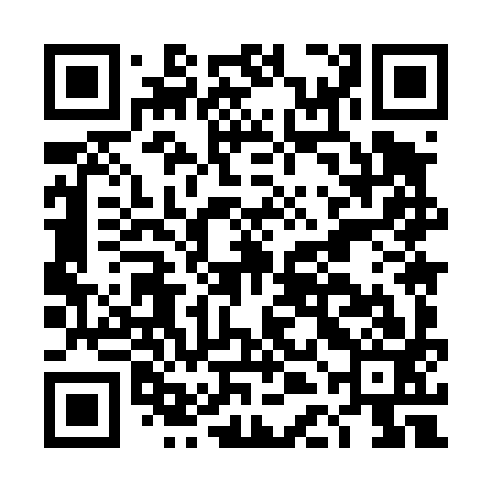 QR code for DDM493