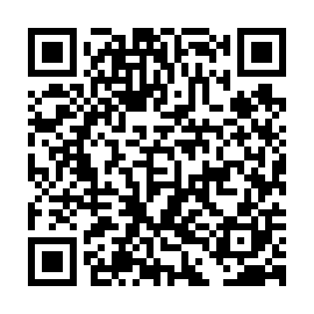 QR code for DDM600