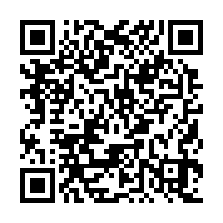 QR code for DDQ333