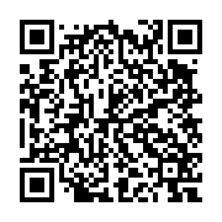 QR code for DDR466